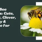 Bee Names