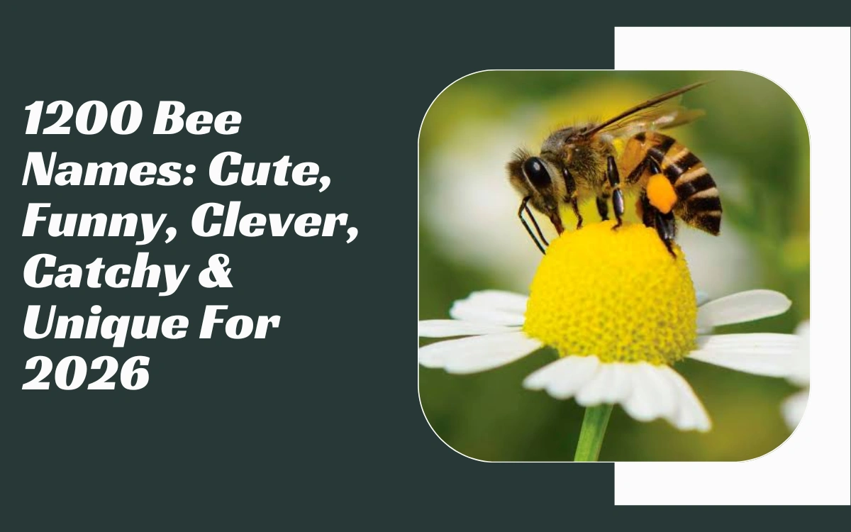 Bee Names