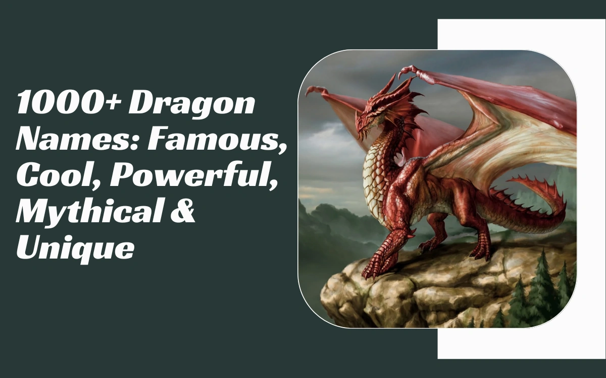 Dragon Names