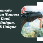 Female Dragon Names
