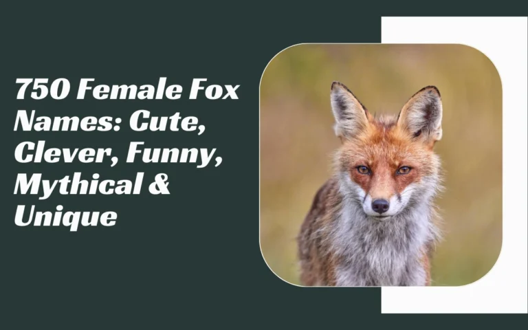 Female Fox Names