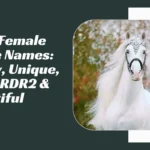 Female Horse Names