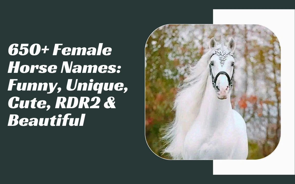 Female Horse Names