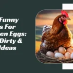 Funny Names For Chicken Eggs